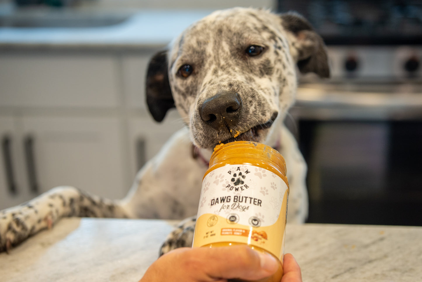Dog licking Dawg Butter Original peanut butter from a spoon