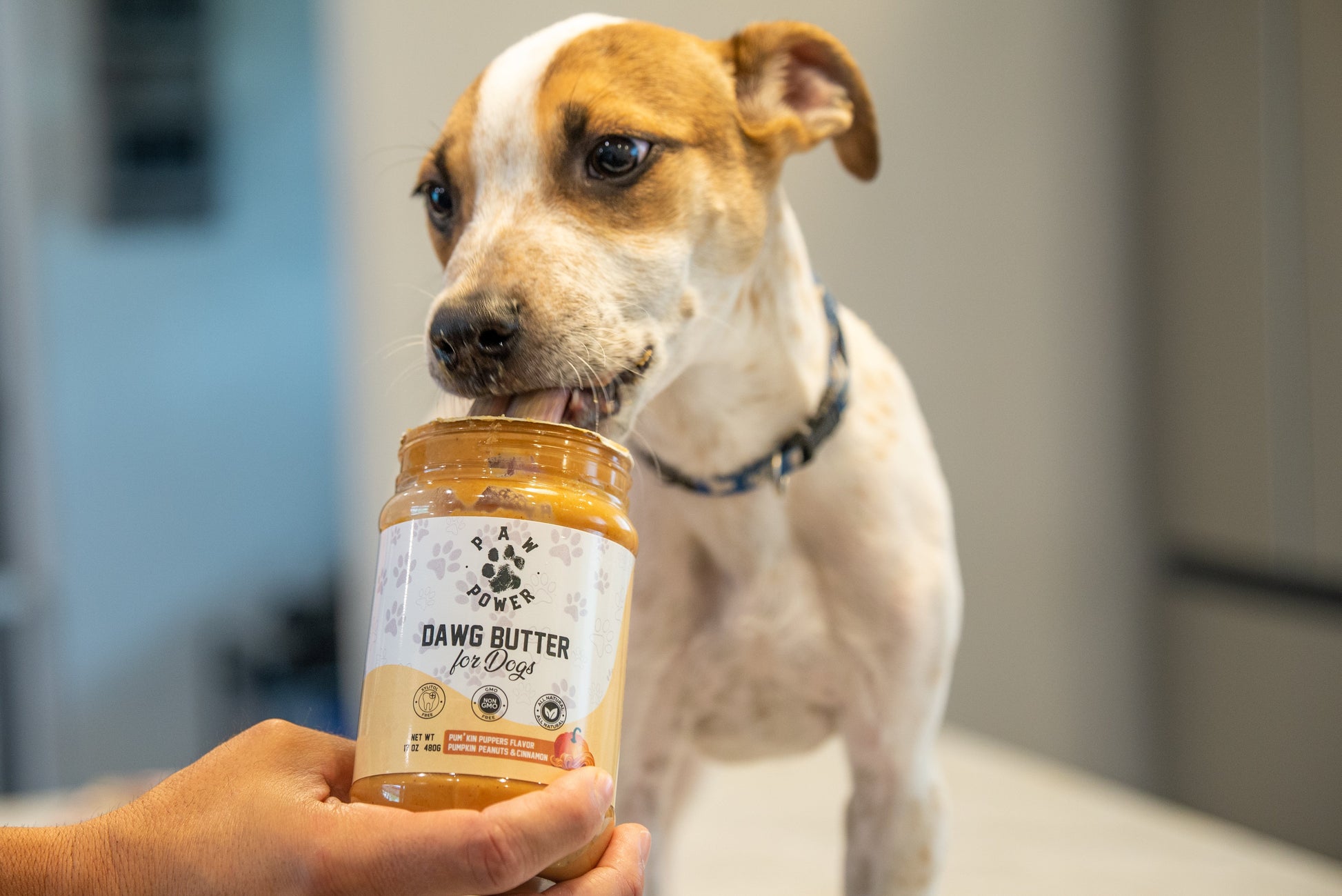 Dawg Butter Pumkin Puppers peanut butter in use