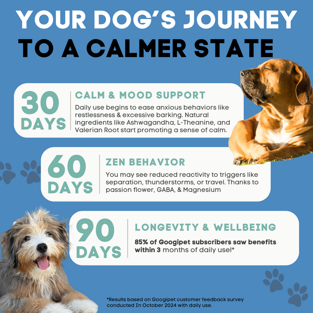 Dog product advertisement with text on a blue background