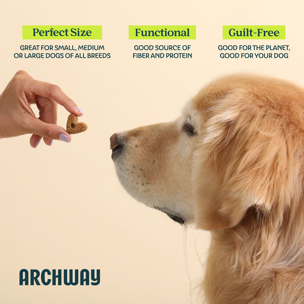 Dog being offered a treat with text highlighting 'Perfect Size', 'Functional', and 'Guilt-Free' on a beige background, featuring the Archway brand.
