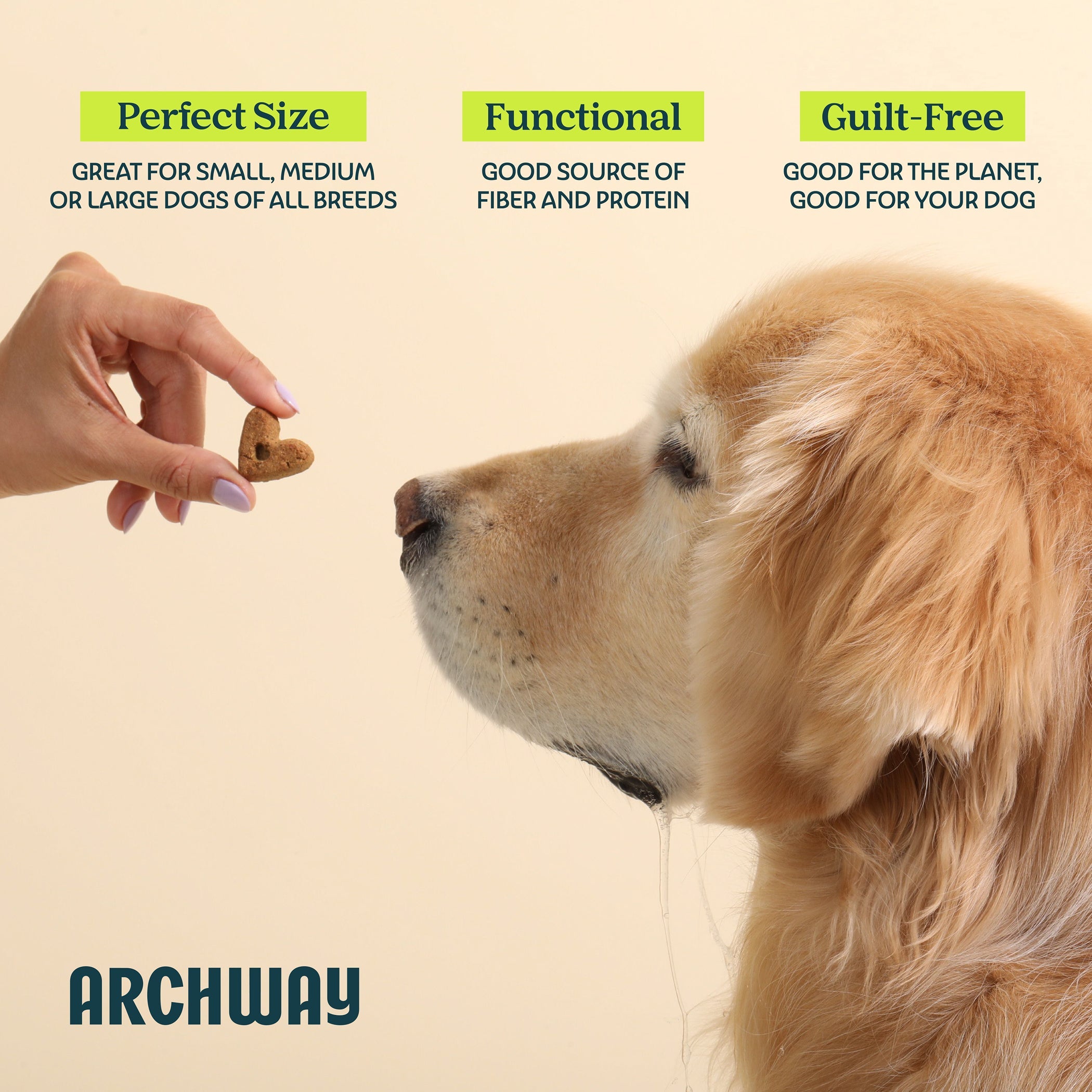 Dog being offered a treat with text highlighting 'Perfect Size', 'Functional', and 'Guilt-Free' on a beige background, featuring the Archway brand.