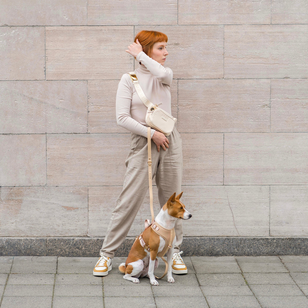 Woman walking a dog on a leash against a stone wall.