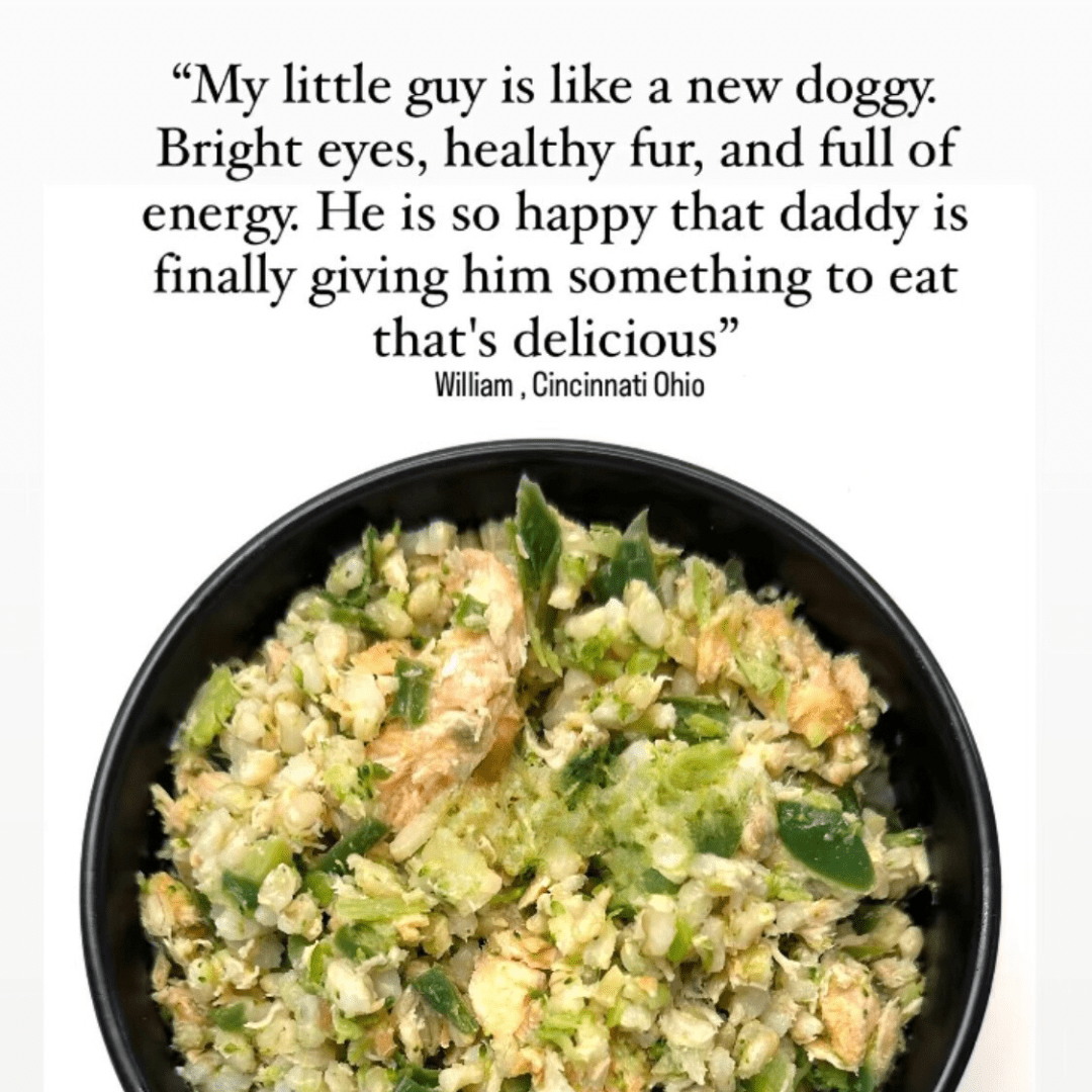 Black bowl of food with a quote about a pet on a white background