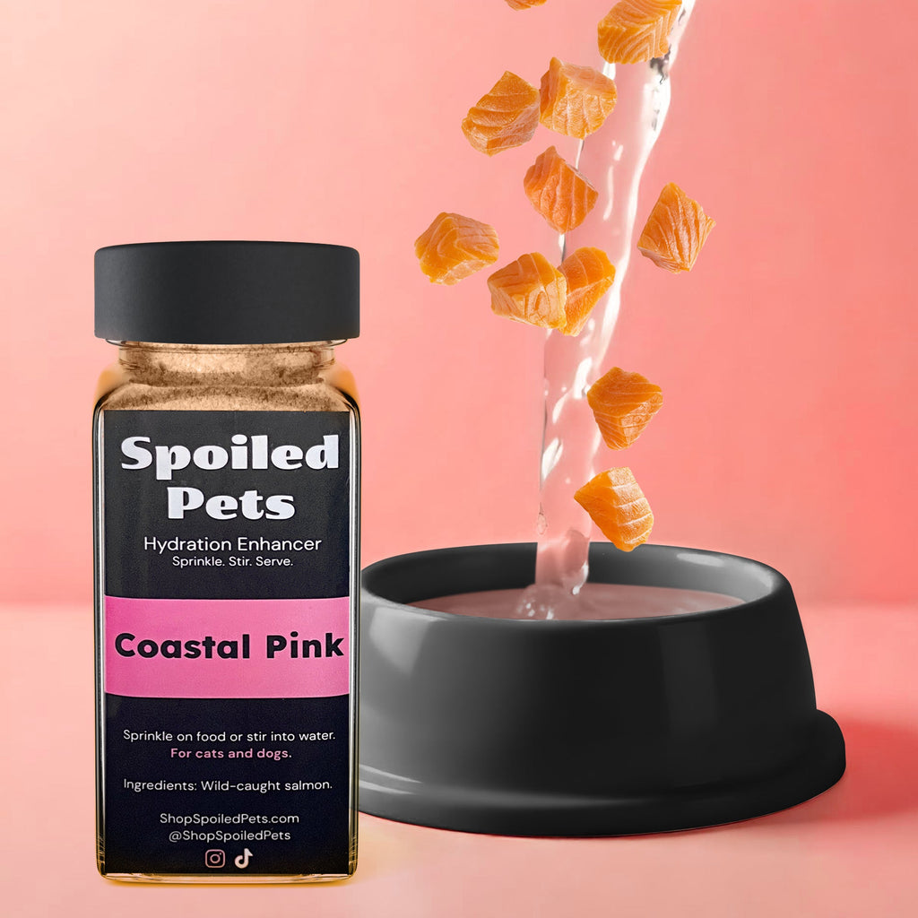 Spoiled Pets hydration enhancer bottle with a bowl of water and salmon pieces on a pink background