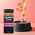 Spoiled Pets hydration enhancer bottle with a bowl of water and salmon pieces on a pink background