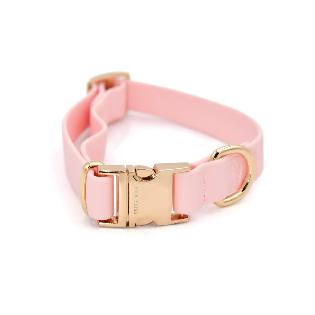 Pink dog collar with gold buckle on a white background