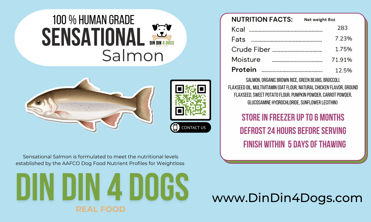 Din Din 4 Dogs chicken and salmon case shown with individual meal packs