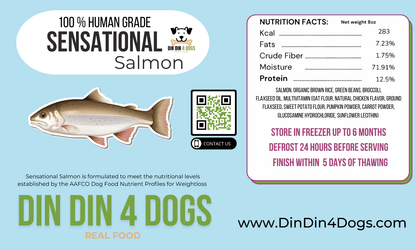 Din Din 4 Dogs chicken and salmon case shown with individual meal packs