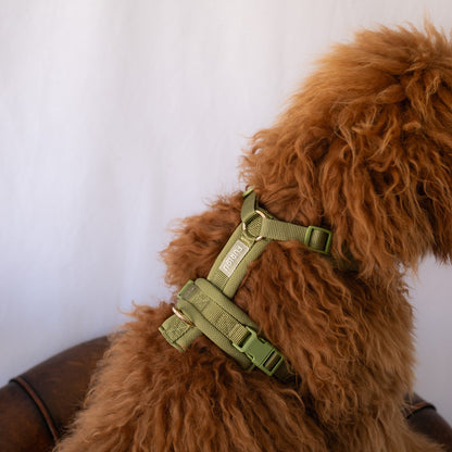 FURLOU Green Comfort Dog Harness worn by a dog, view 3