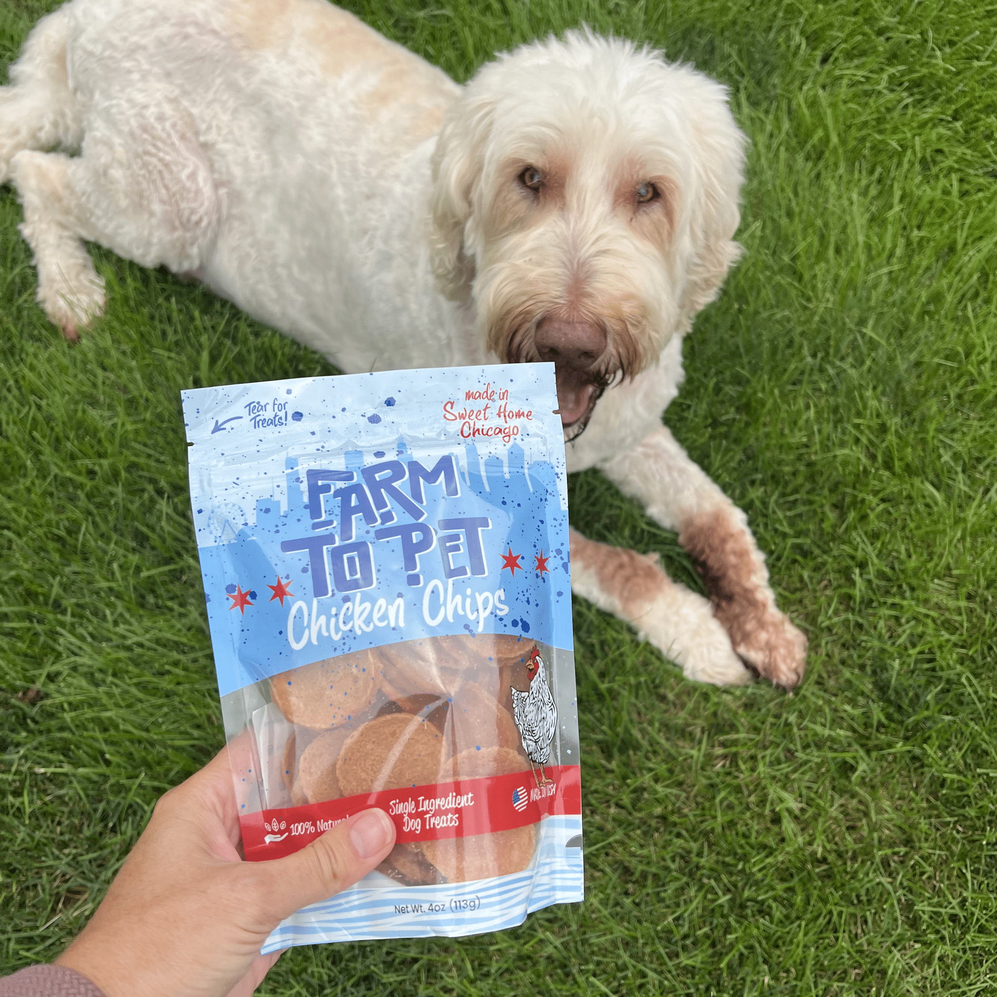 Dog lying on grass next to a package of 'Farm to Pet Chicken Chips'