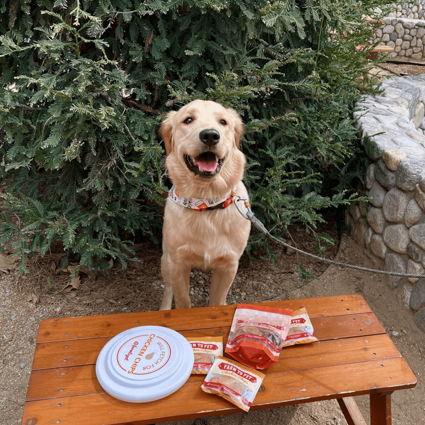 Will Fetch For Chicken Chips Dog Frisbee – will fetch for chicken chips frisbee 3