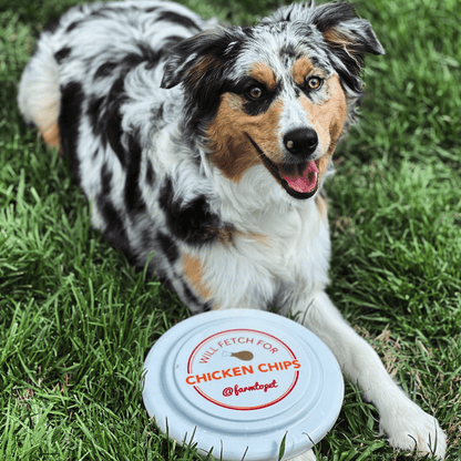 Will Fetch For Chicken Chips Dog Frisbee – will fetch for chicken chips frisbee 4