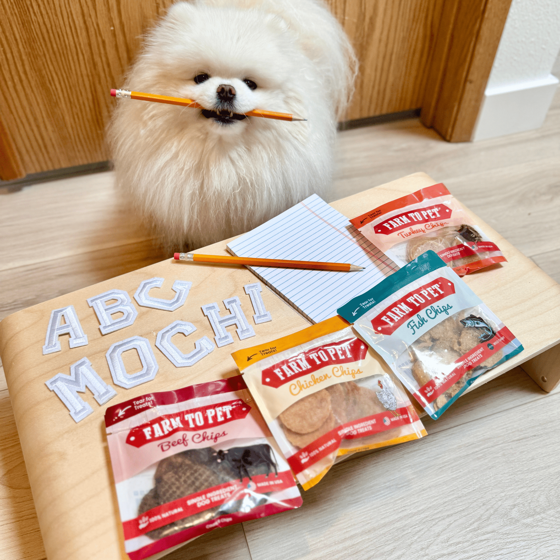 Farm To Pet Snack Pack Sampler – All Natural Dog Treats Snack Pack Dog Treat Sampler white dog