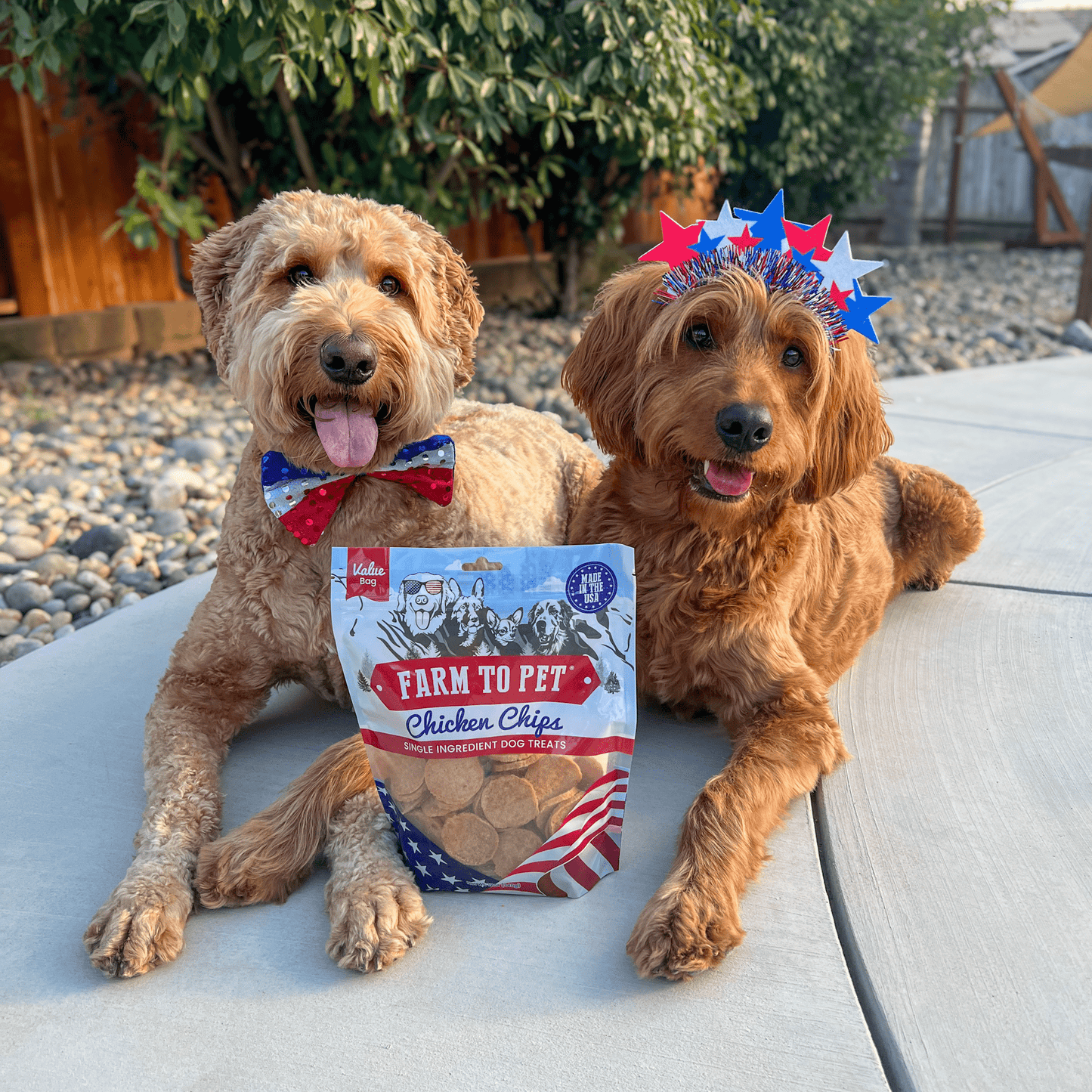 Americana Chicken Chips – Americana Chicken Chips Value Bag Healthy Dog Treats 2 dogs