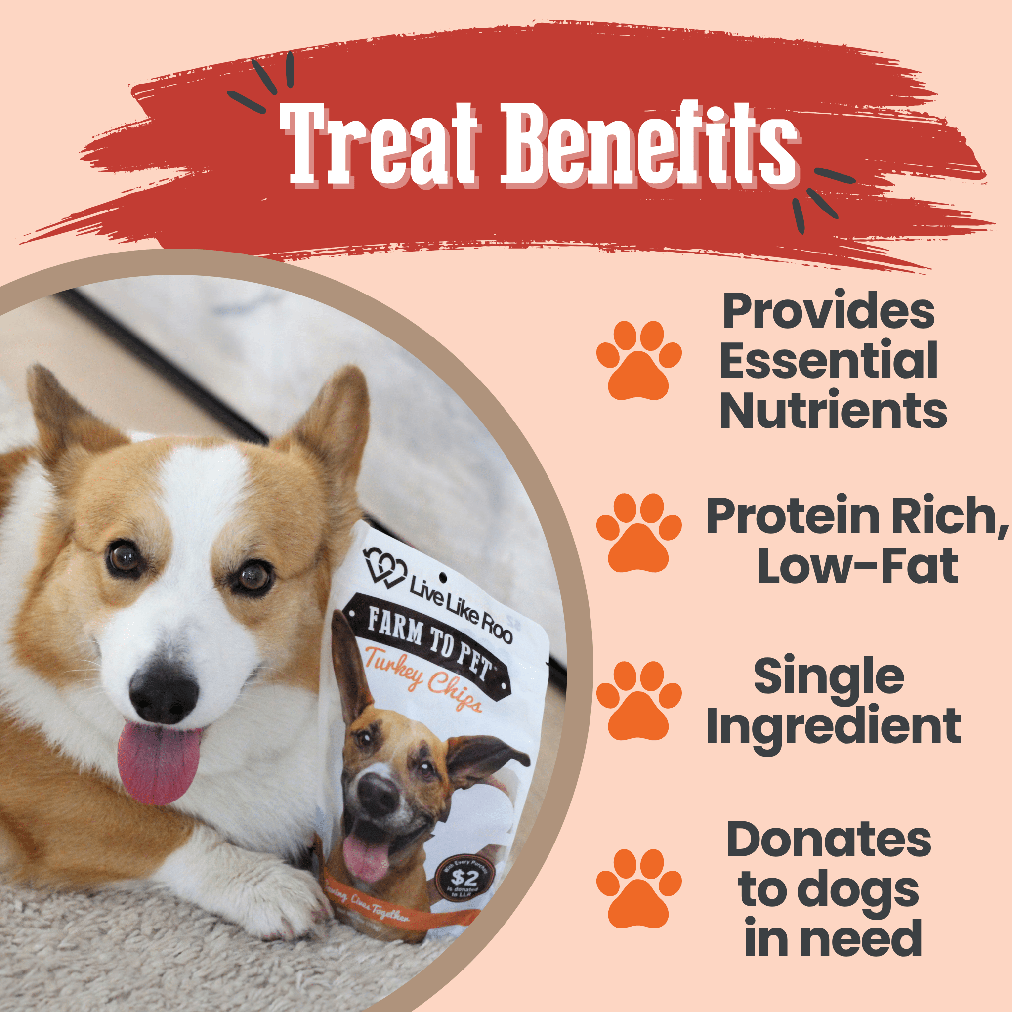 Farm To Pet Live Like Roo Turkey Chips for Dogs – Healthy Single Ingredient Treats | Whisker House - Whisker House