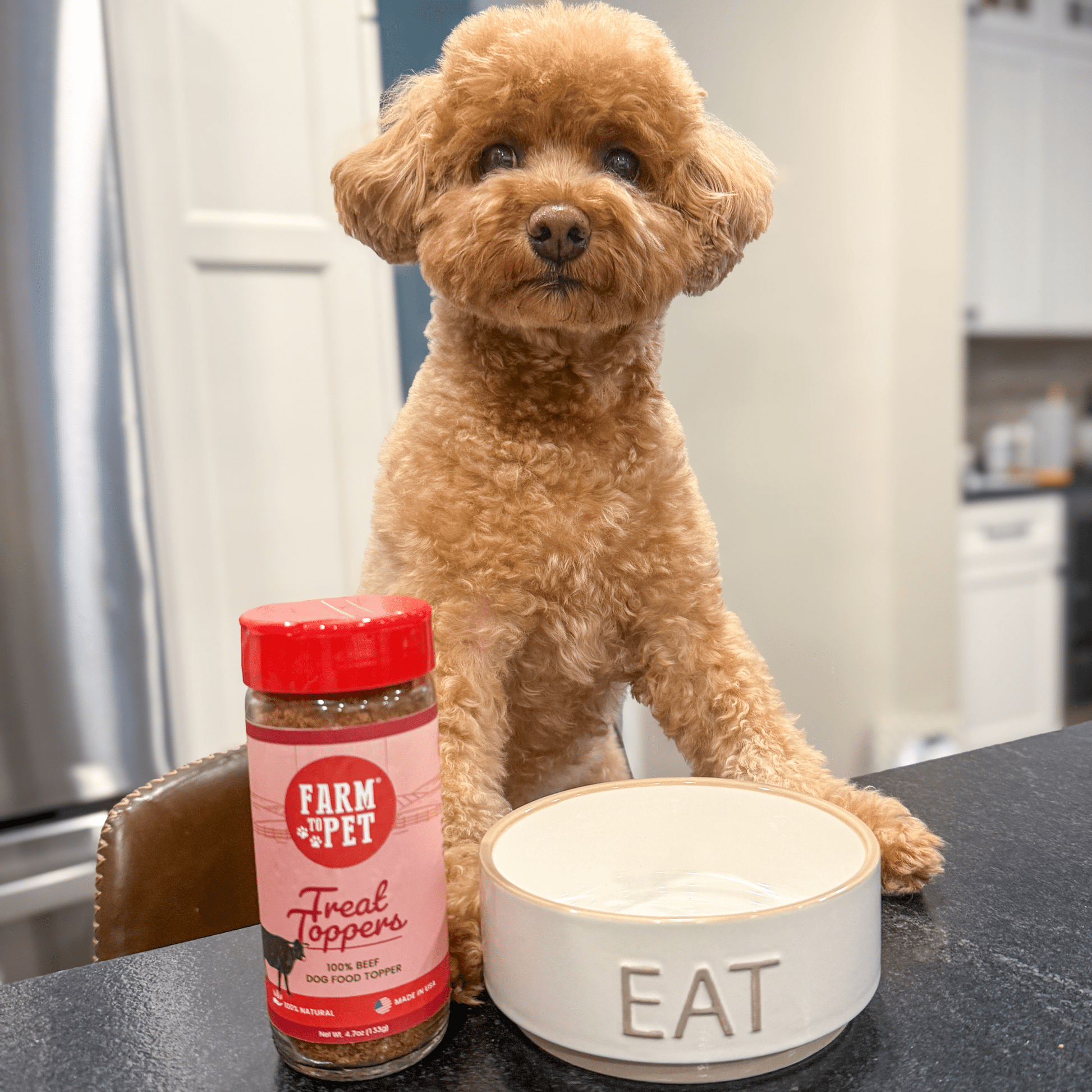 Farm To Pet Beef Treat Topper – Beef Treat Toppers Premium Dog Topper dog with bowl