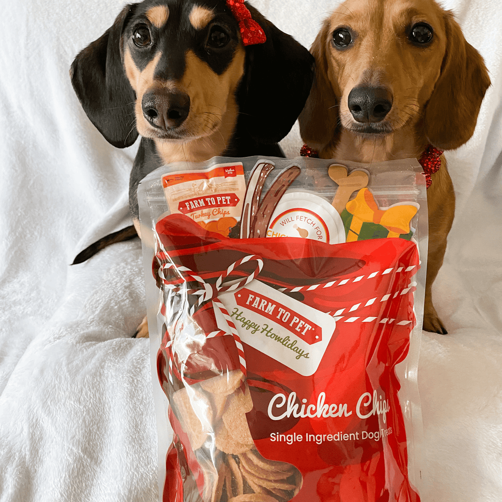 Two small dogs with a package of 'Farm to Pet' chicken chips on a white background