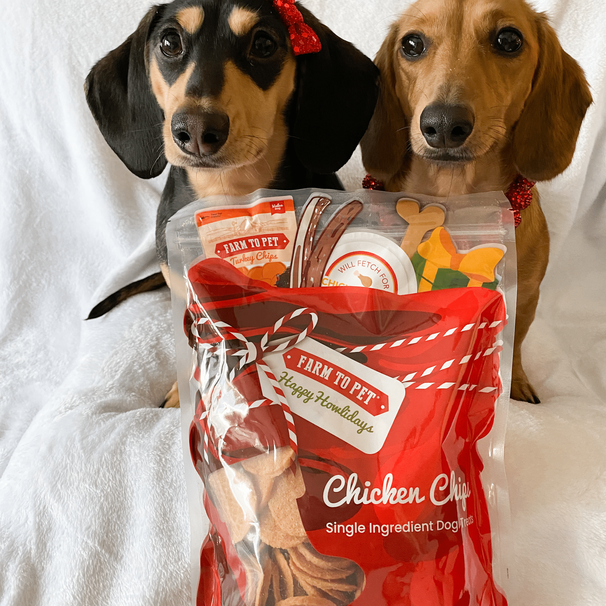 Two small dogs with a package of 'Farm to Pet' chicken chips on a white background