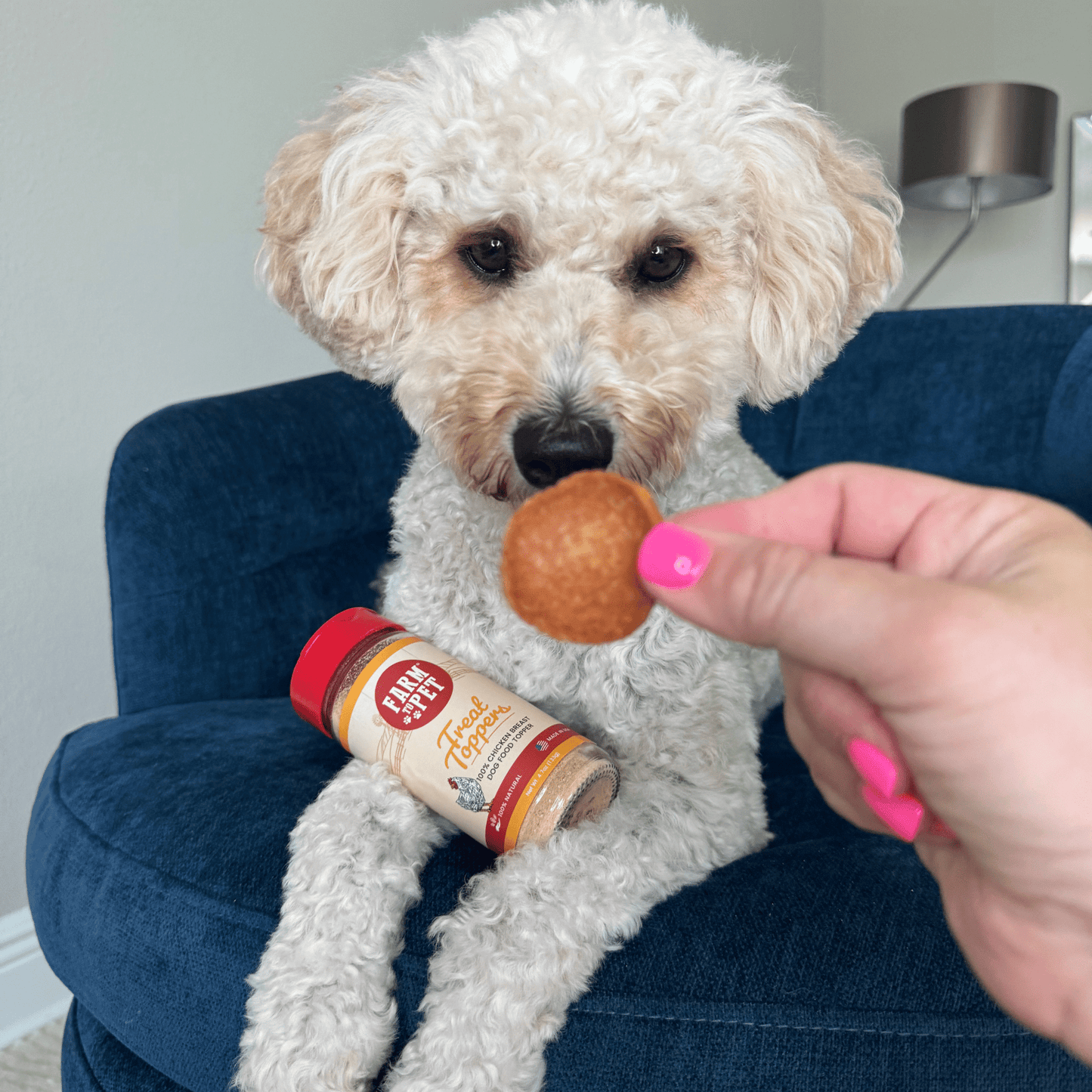 Farm To Pet Chicken Treat Topper – Chicken Dog Meal Enhancer Chicken Toppers dog and chip