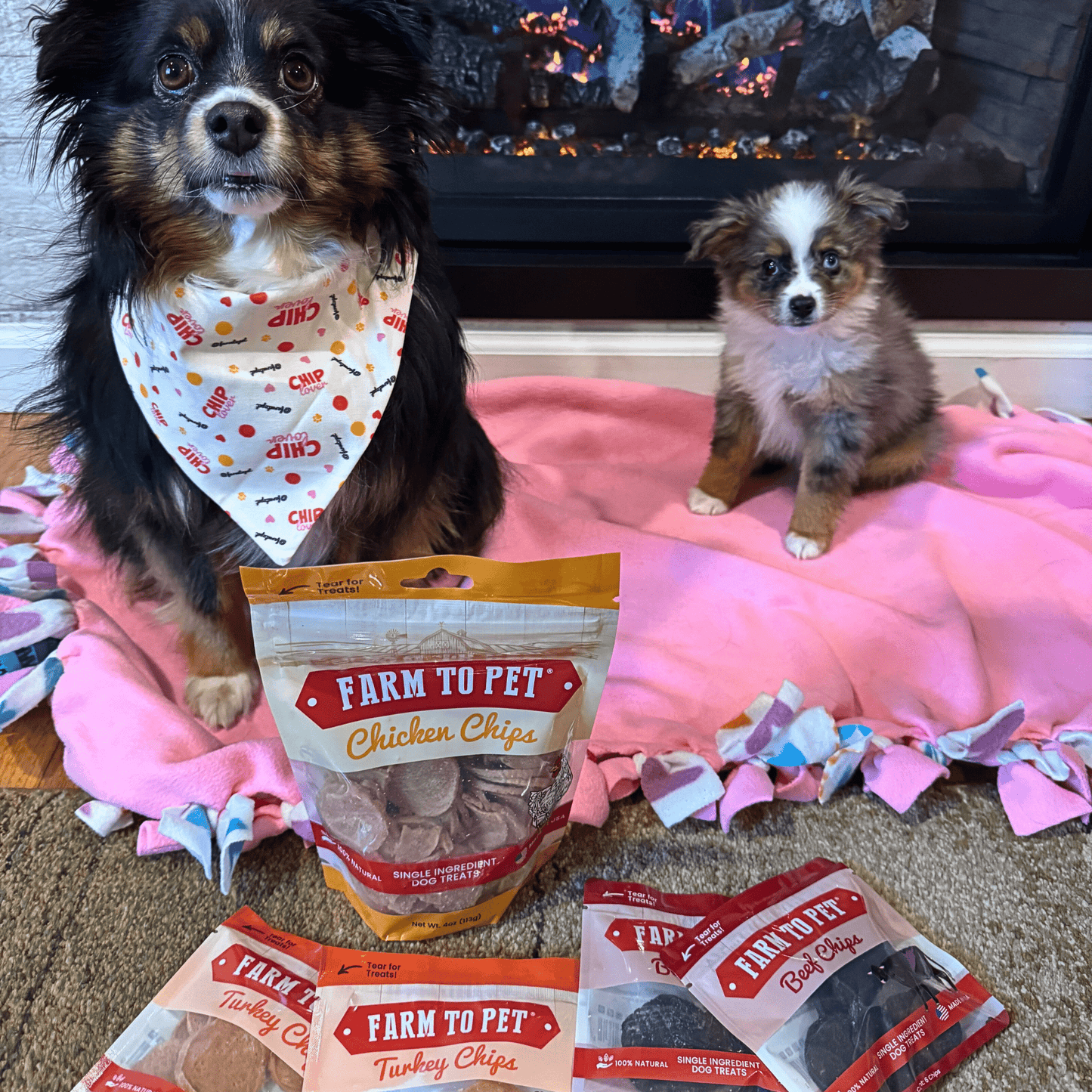 Puppy Packs 'n Snacks – Chicken Dog Treat Bundle Chicken Treat Puppy Packs N Snacks Dog Treat Starter Pack Puppy