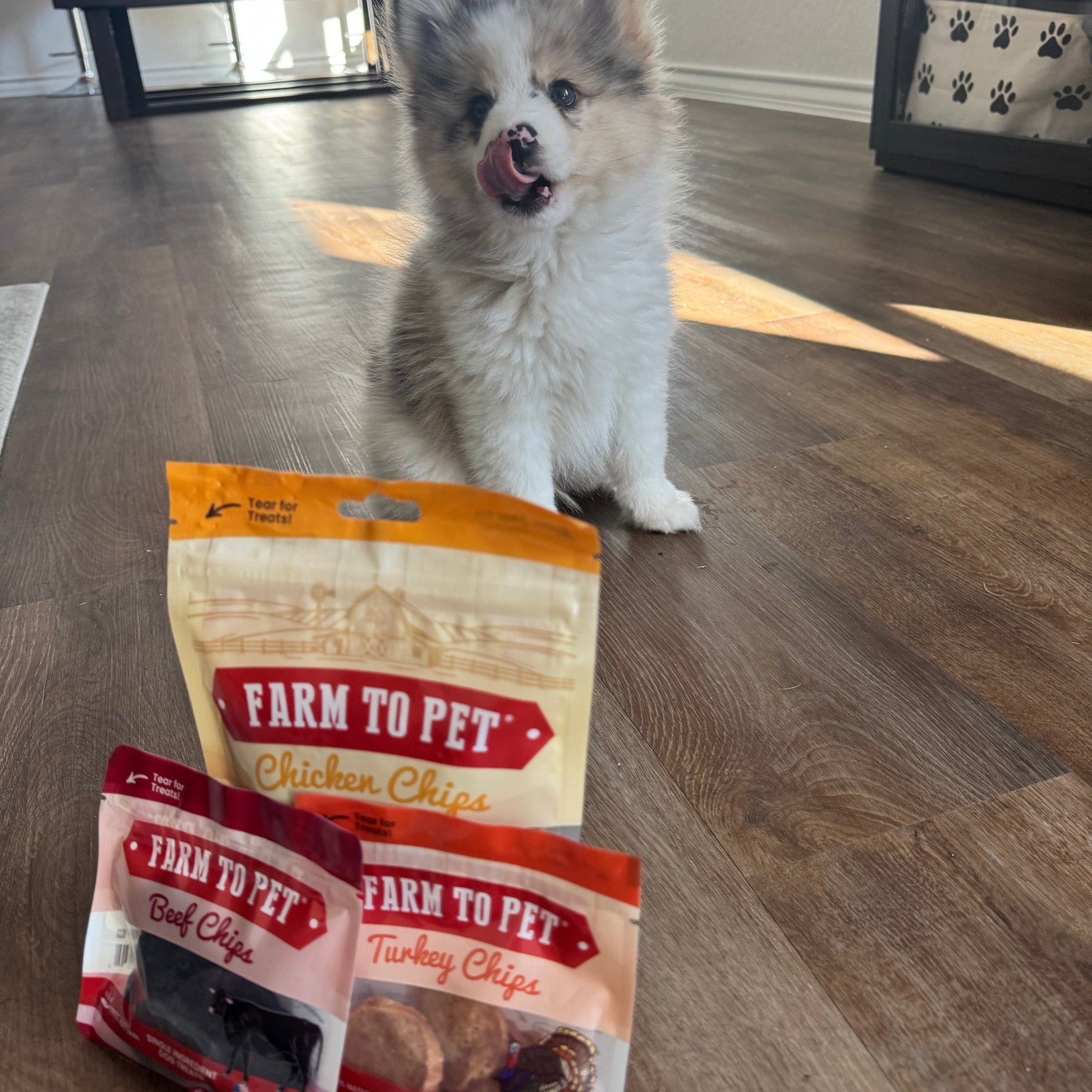 Puppy Packs 'n Snacks – Chicken Dog Treat Bundle Chicken Treat Puppy Packs N Snacks Dog Treat Starter Pack Puppy tongue
