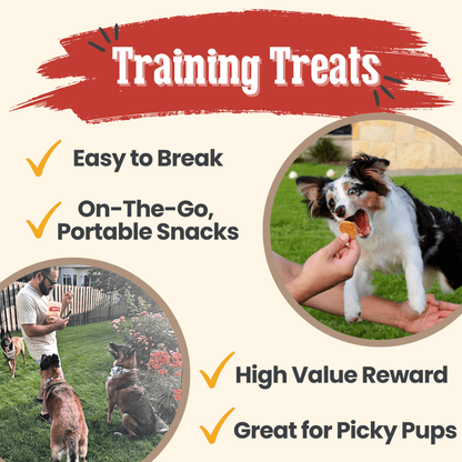 Farm To Pet Chicken Chips – Chicken Training Treats 4oz Chicken Chips