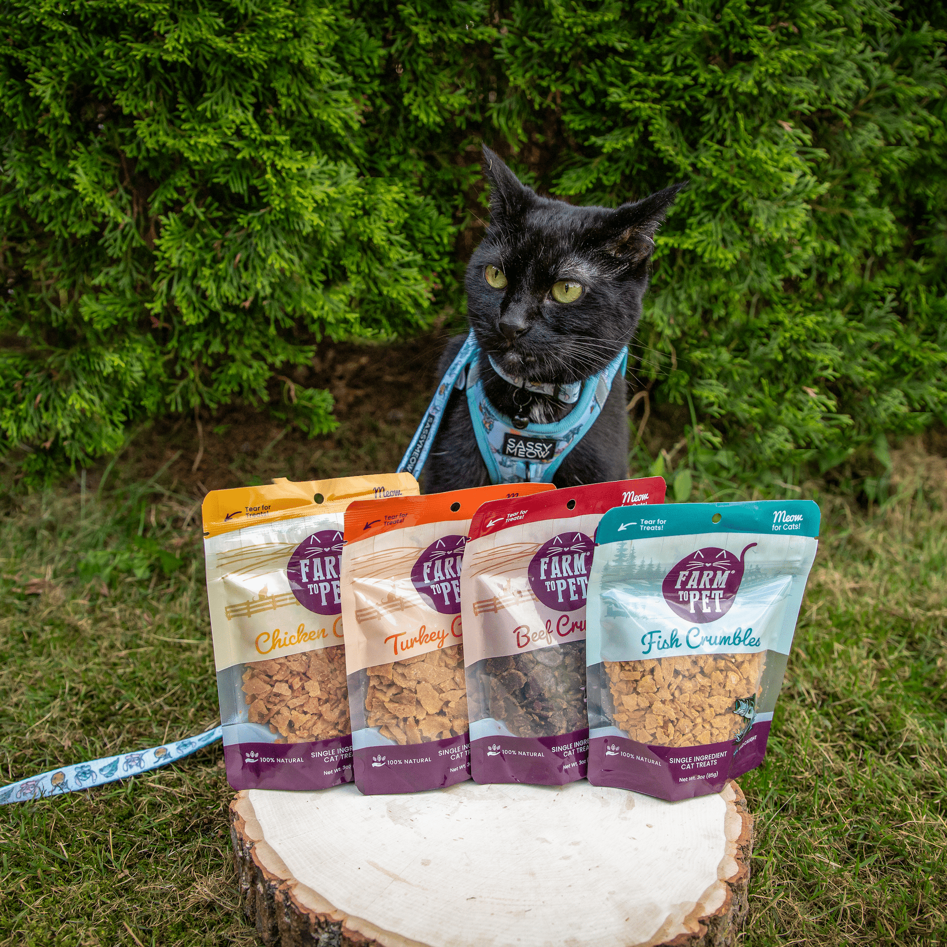 Farm To Pet Beef Crumbles Cat Treats | High Protein Grain-Free Snacks - Whisker House
