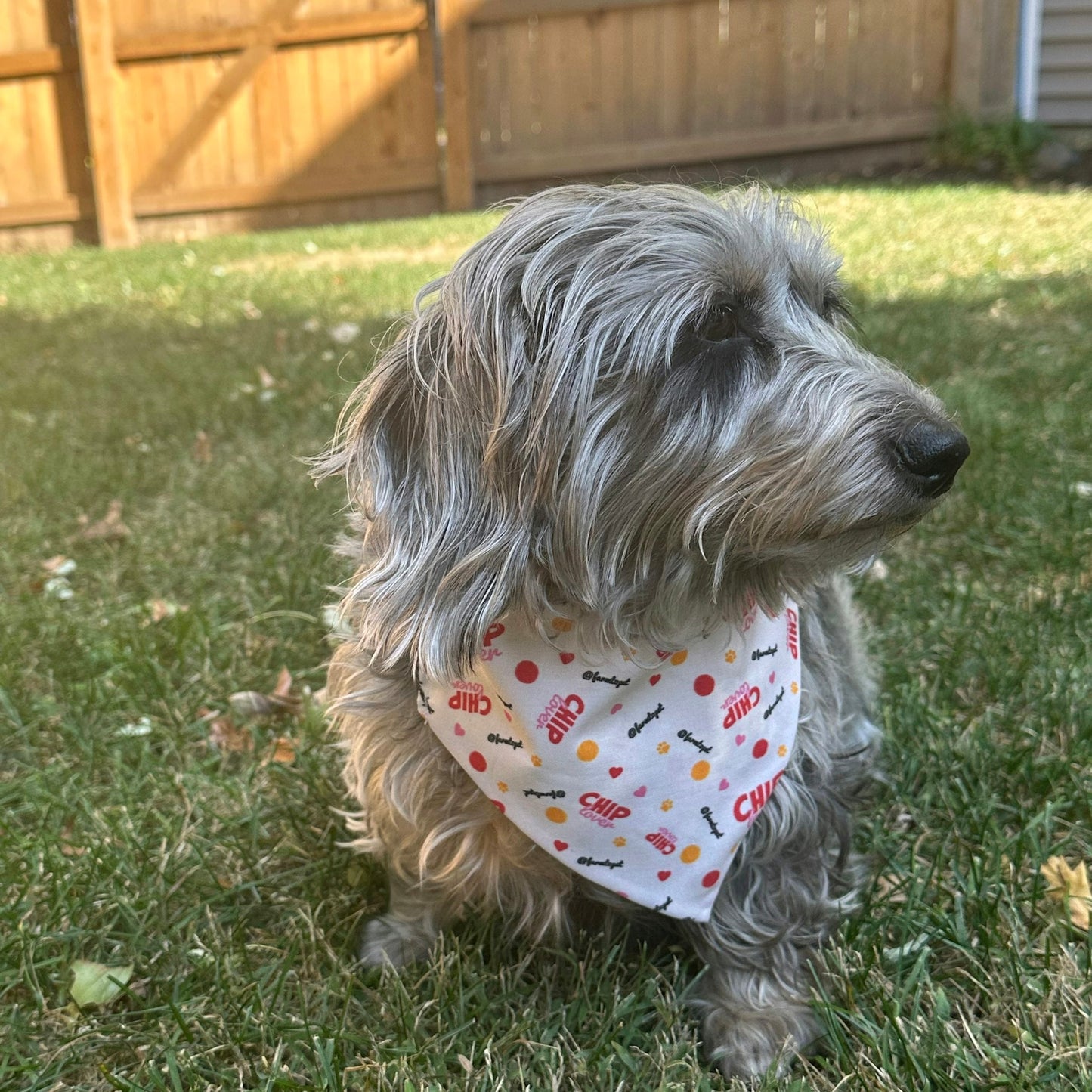 Farm To Pet Tie-On Dog Bandana – Chip Lover Dog Bandana 1