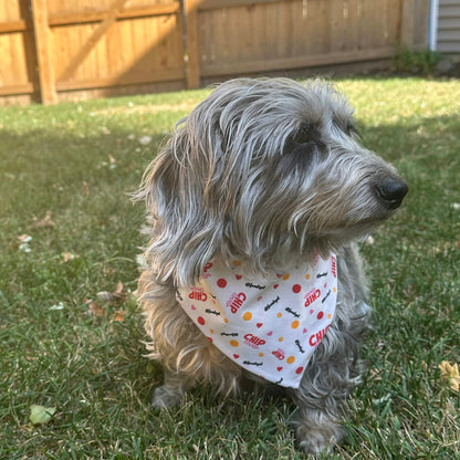 Farm To Pet Tie-On Dog Bandana – Chip Lover Dog Bandana 1
