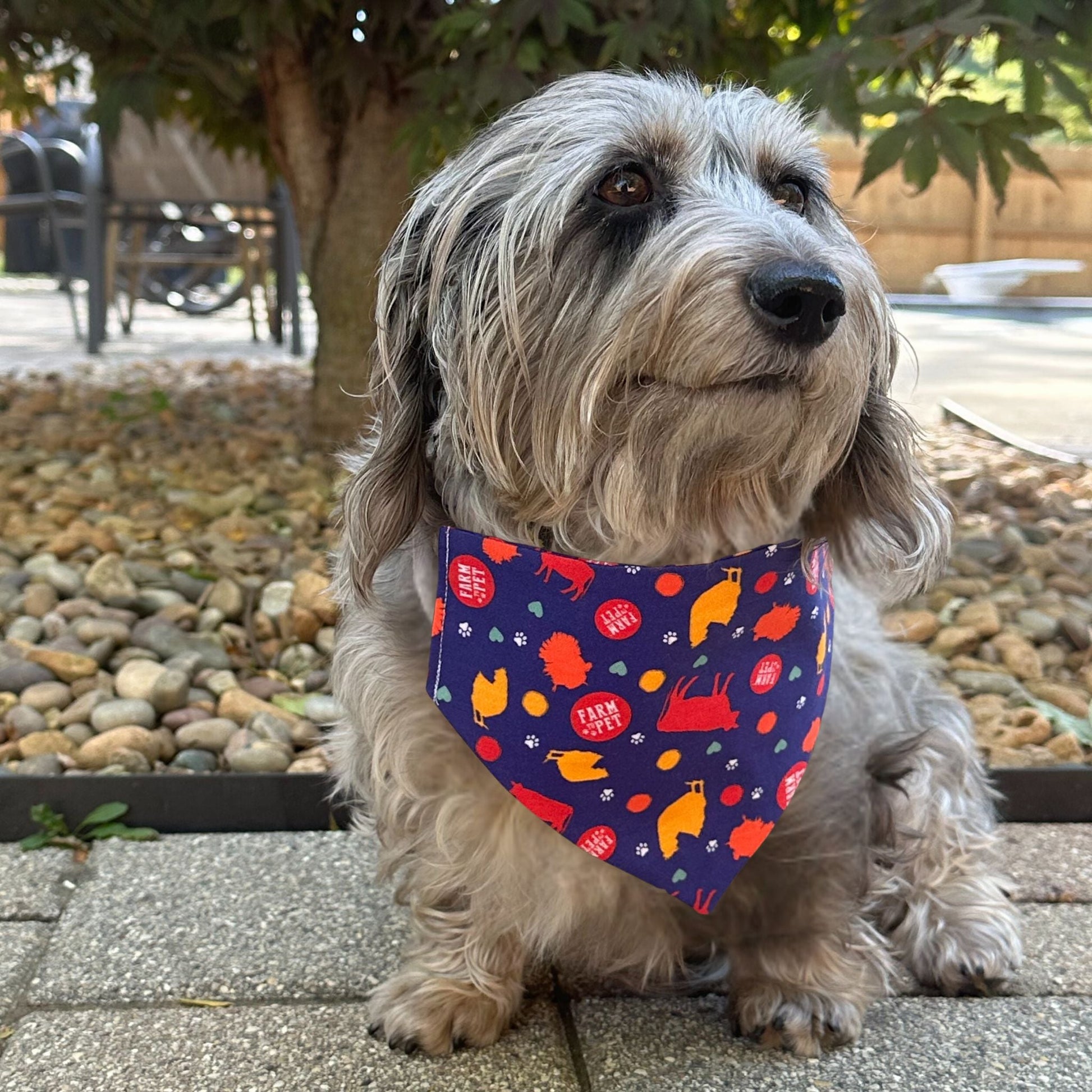 Farm To Pet Tie-On Dog Bandana – Dog Bandana String Tie On