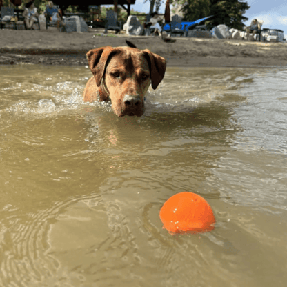 SodaPup Dog Fetch Balls – Dog Fetch Ball Crazy Bounce Ball Floating with Dog