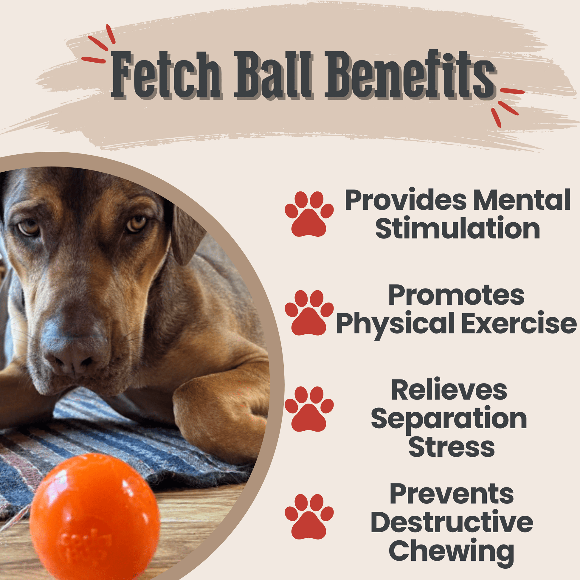 SodaPup Dog Fetch Balls – Dog Fetch Balls Crazy Bouce Ball Benefits
