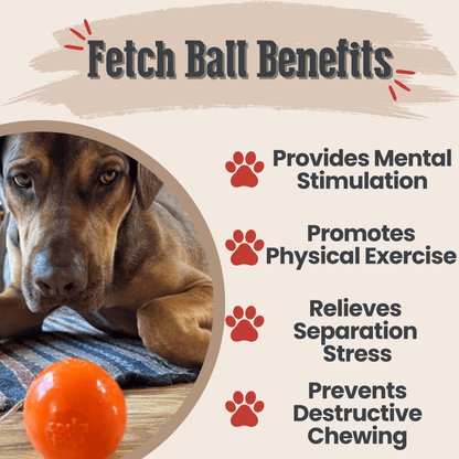 SodaPup Dog Fetch Balls – Dog Fetch Balls Crazy Bouce Ball Benefits