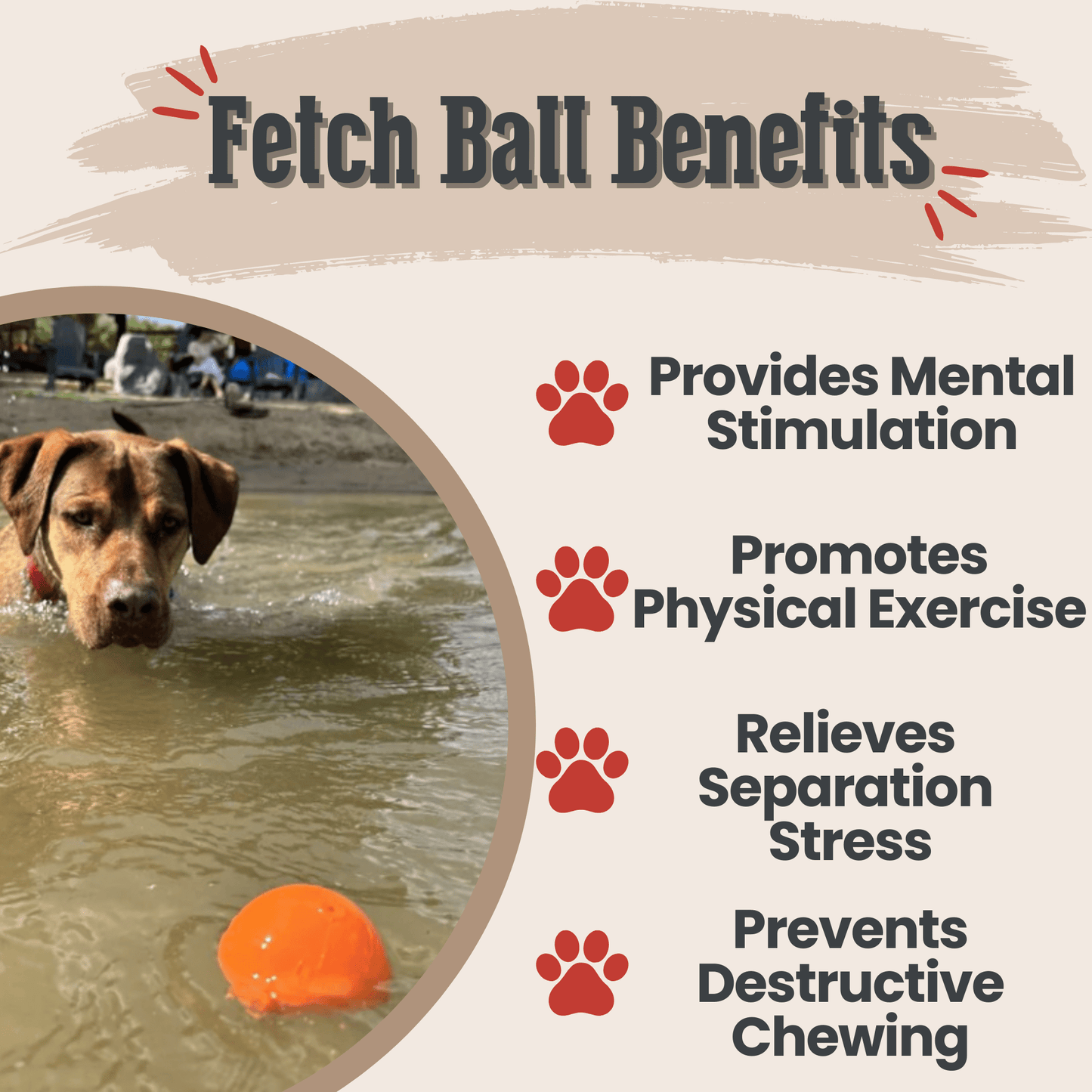 SodaPup Dog Fetch Balls – Dog Fetch Balls Crazy Bounce Ball Benefits