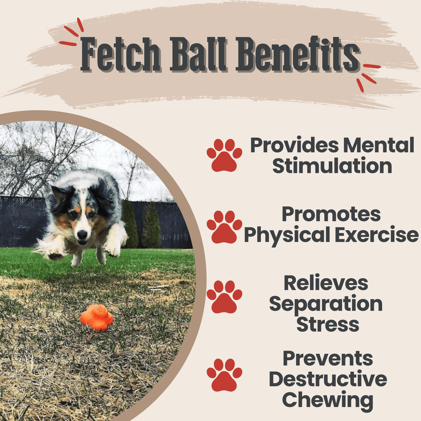 SodaPup Dog Fetch Balls – Dog Fetch Balls Orange Crazy Bounce Ball Benefits