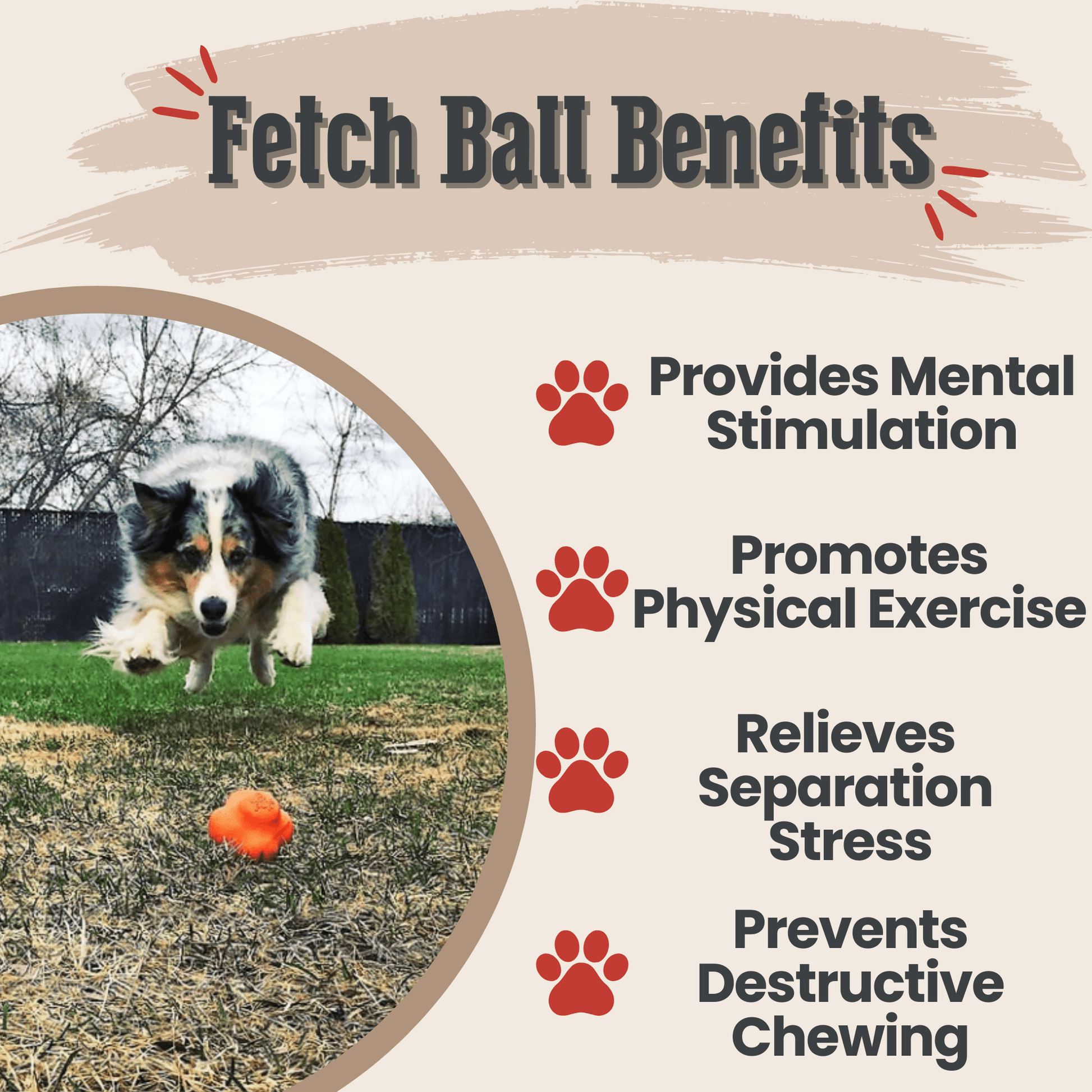 SodaPup Dog Fetch Balls – Dog Fetch Balls Orange Crazy Bounce Ball Benefits