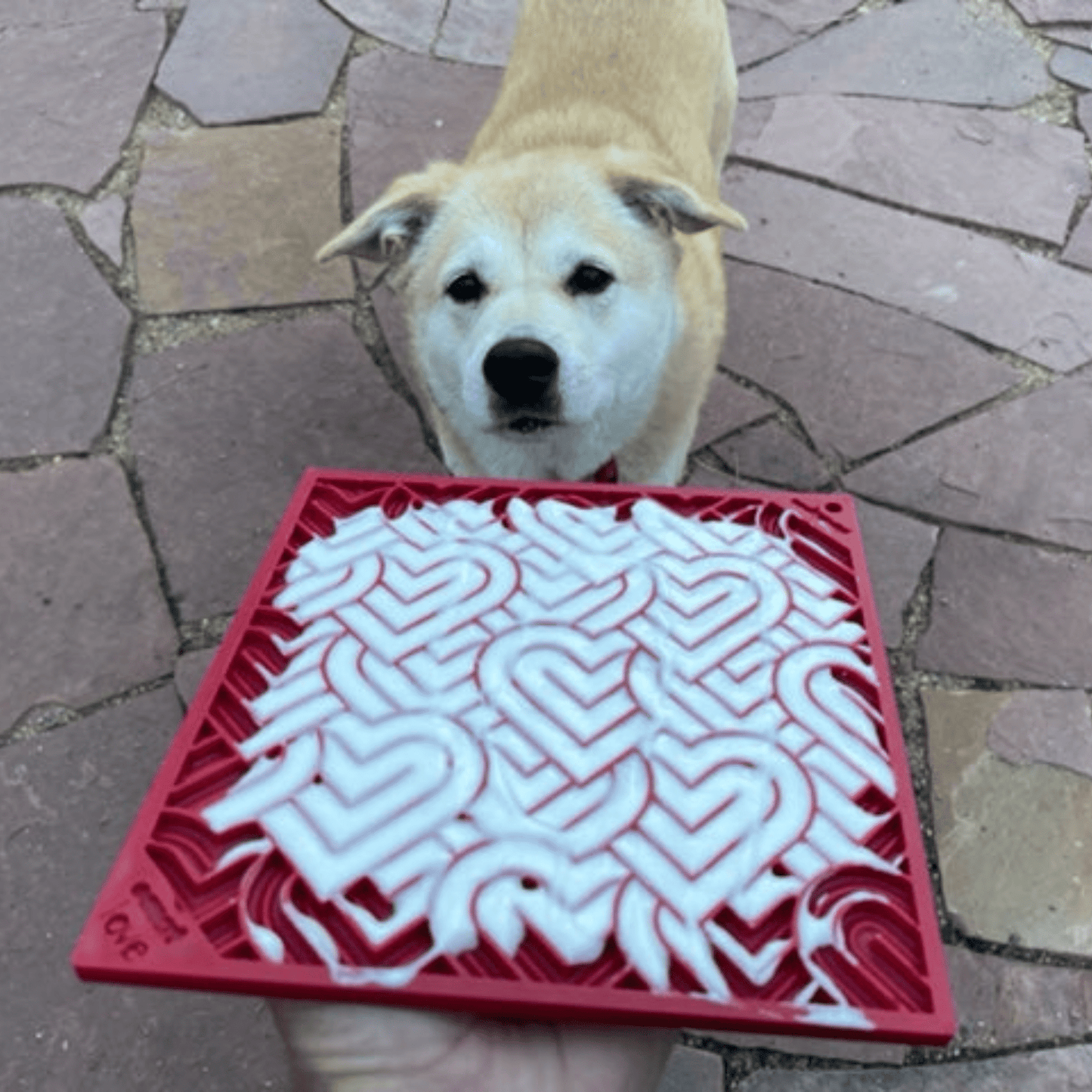 SodaPup Dog Lick Mats – Dog Lick Mats Large Red Hearts Dog and mat