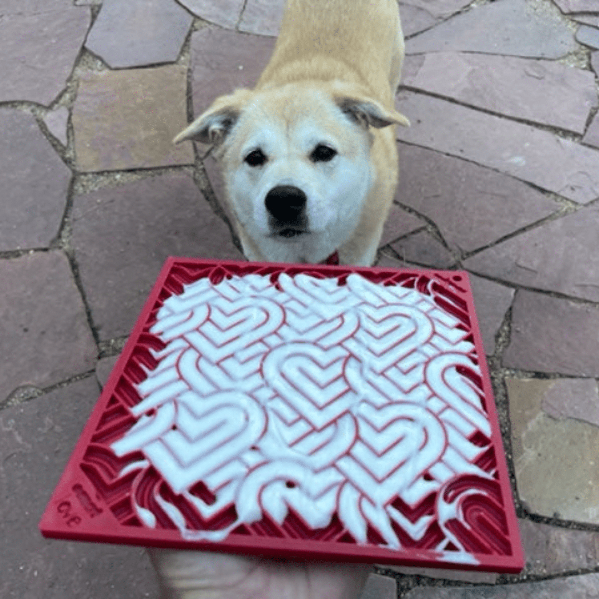 SodaPup Dog Lick Mats – Dog Lick Mats Large Red Hearts Dog and mat