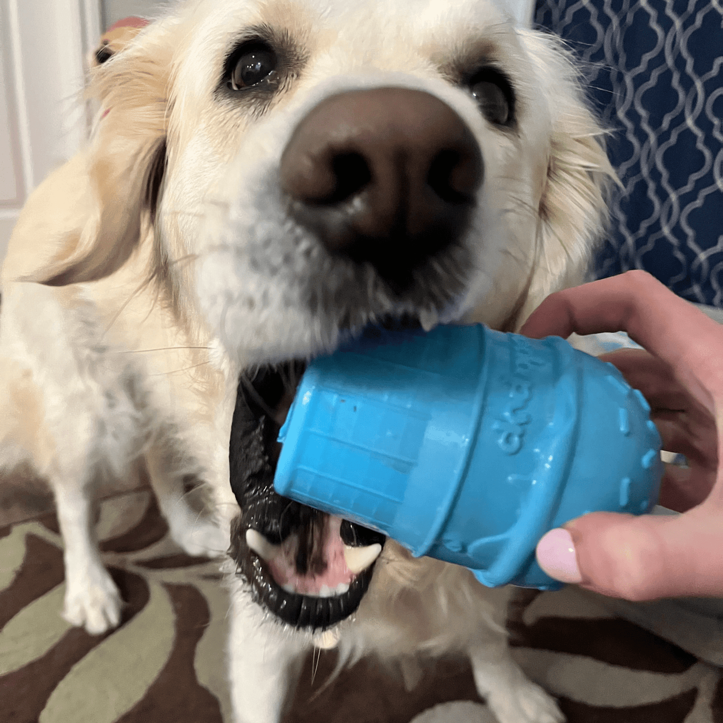 SodaPup Dog Treat Dispenser Toys – Dog Treat Dispenser Blue Ice Cream Dog Chewing