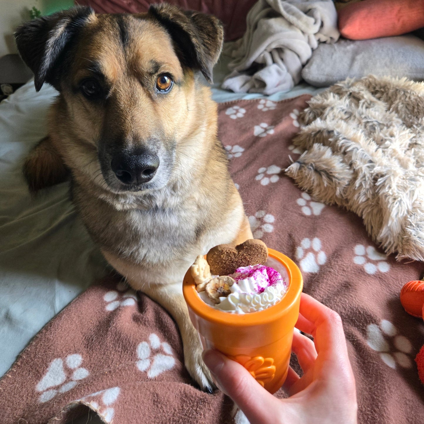 SodaPup Dog Treat Dispenser Toys – Dog Treat Dispenser Dog Food Orange Flower Pot
