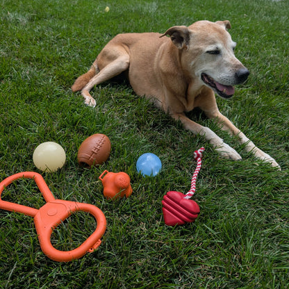 SodaPup Dog Tug Toys – Dog Treat Dispensers and Tug Toys Dog Laying down
