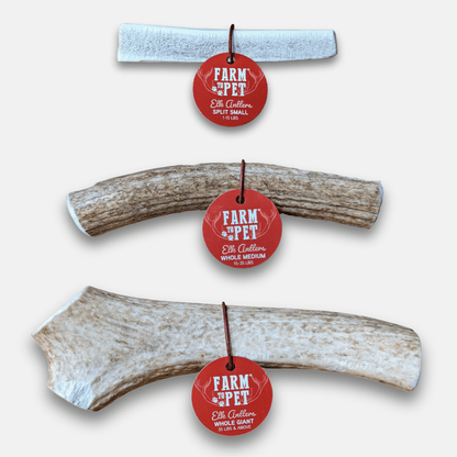Farm To Pet Elk Antler Dog Chews – Durable Antlers for Dogs Elk Antlers for Dogs Front
