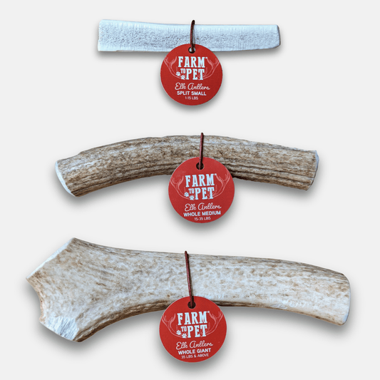 Farm To Pet Elk Antler Dog Chews – Durable Antlers for Dogs Elk Antlers for Dogs Front
