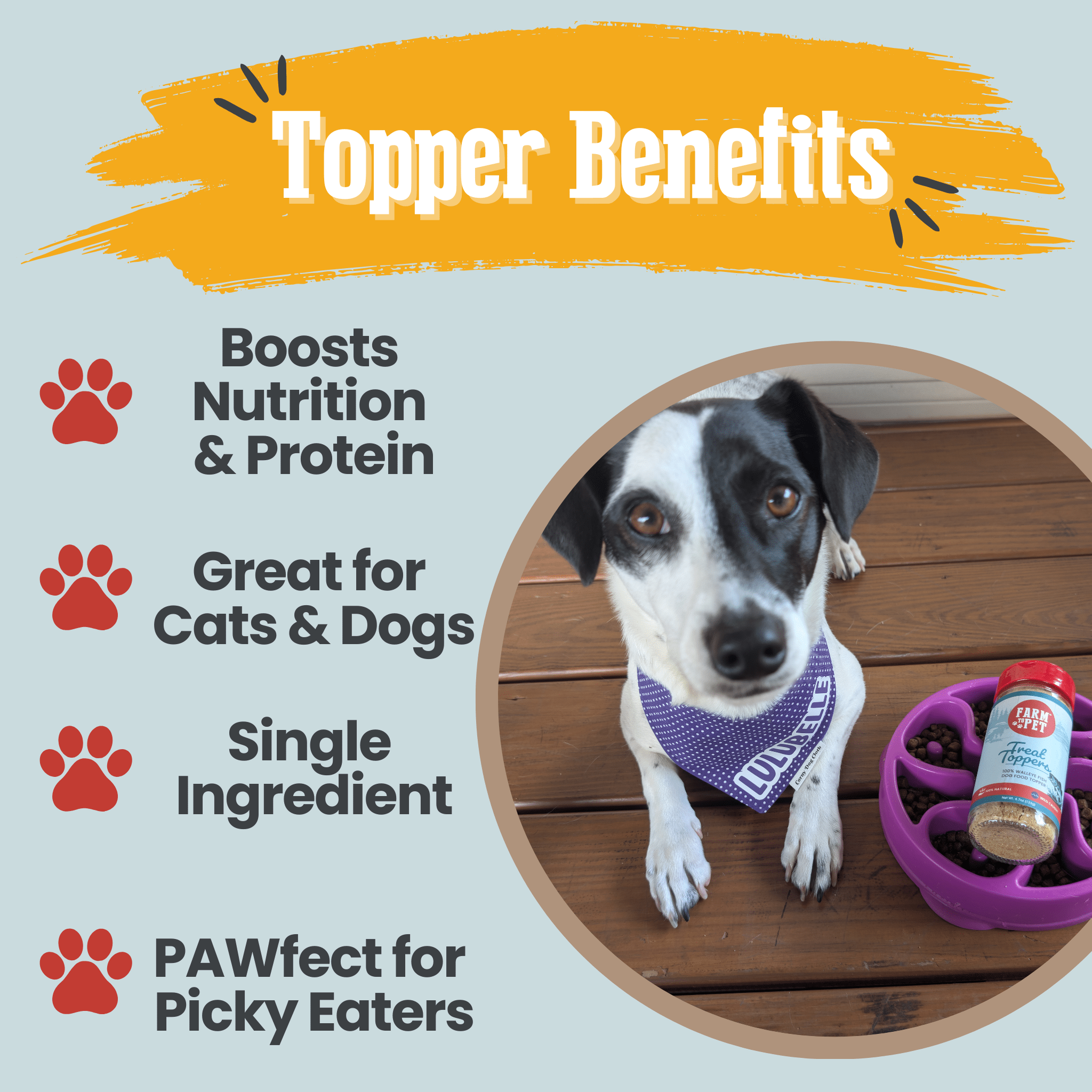 Farm To Pet Fish Dog Food Topper | Low-Fat, High-Protein Meal Topper - Whisker House