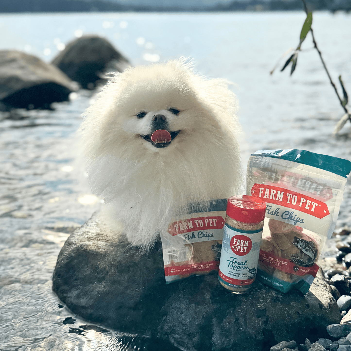 Farm To Pet Fish Dog Food Topper | Low-Fat, High-Protein Meal Topper - Whisker House