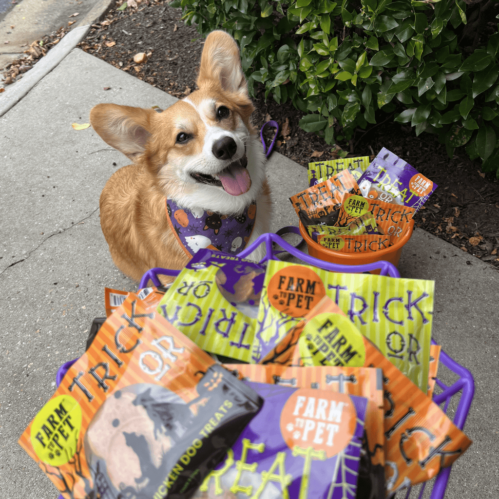 Farm To Pet Halloween Dog Treat Snack Pack – 24-Piece Healthy Bundle | Whisker House - Whisker House
