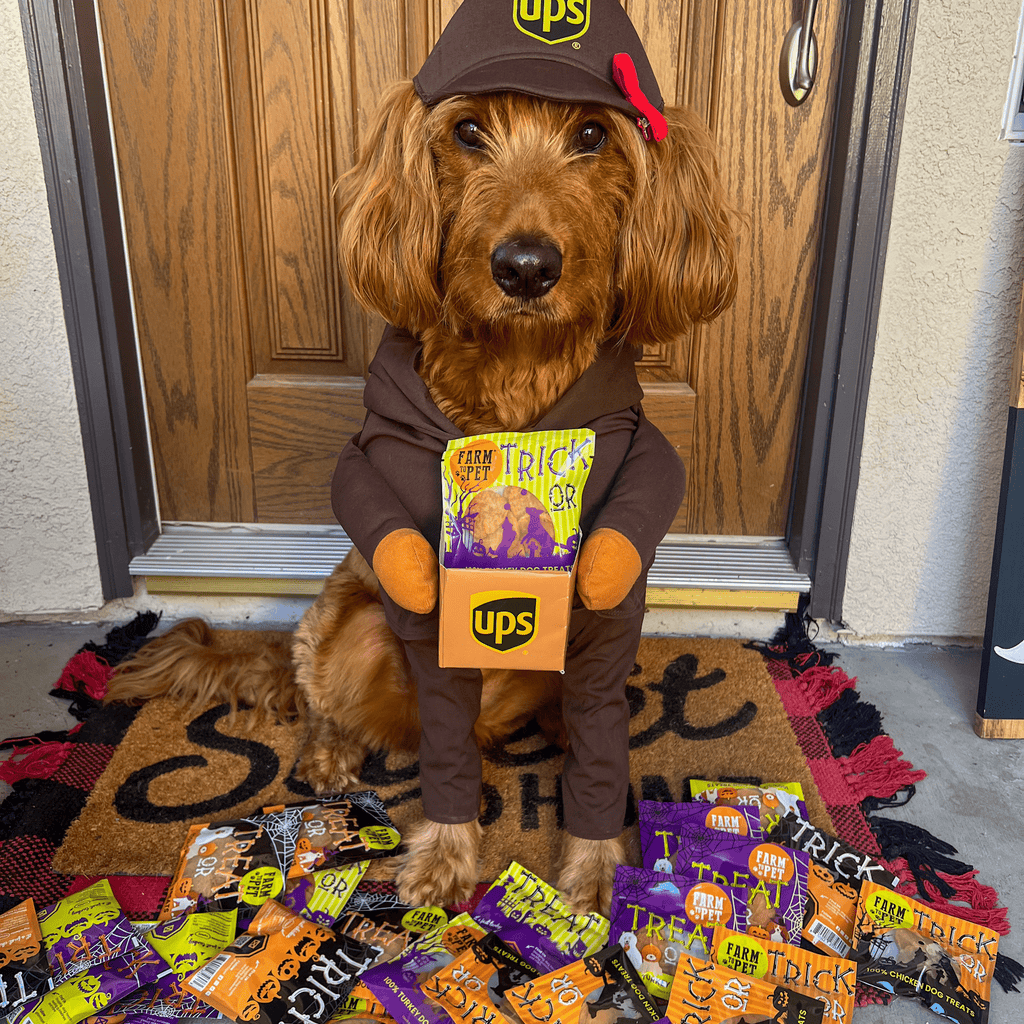 Farm To Pet Halloween Dog Treat Snack Pack – 24-Piece Healthy Bundle | Whisker House - Whisker House