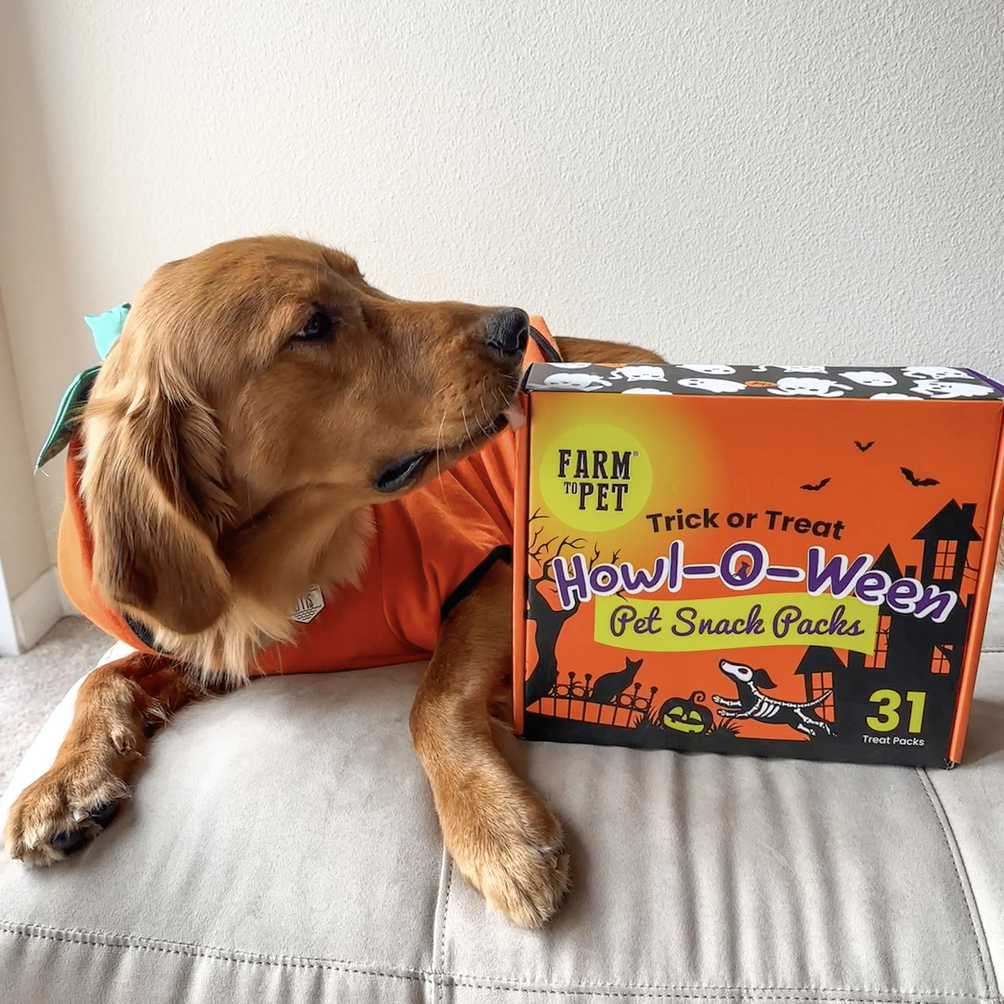 Farm To Pet Halloween Dog Treat Box – 31 Snack Packs - Whisker House