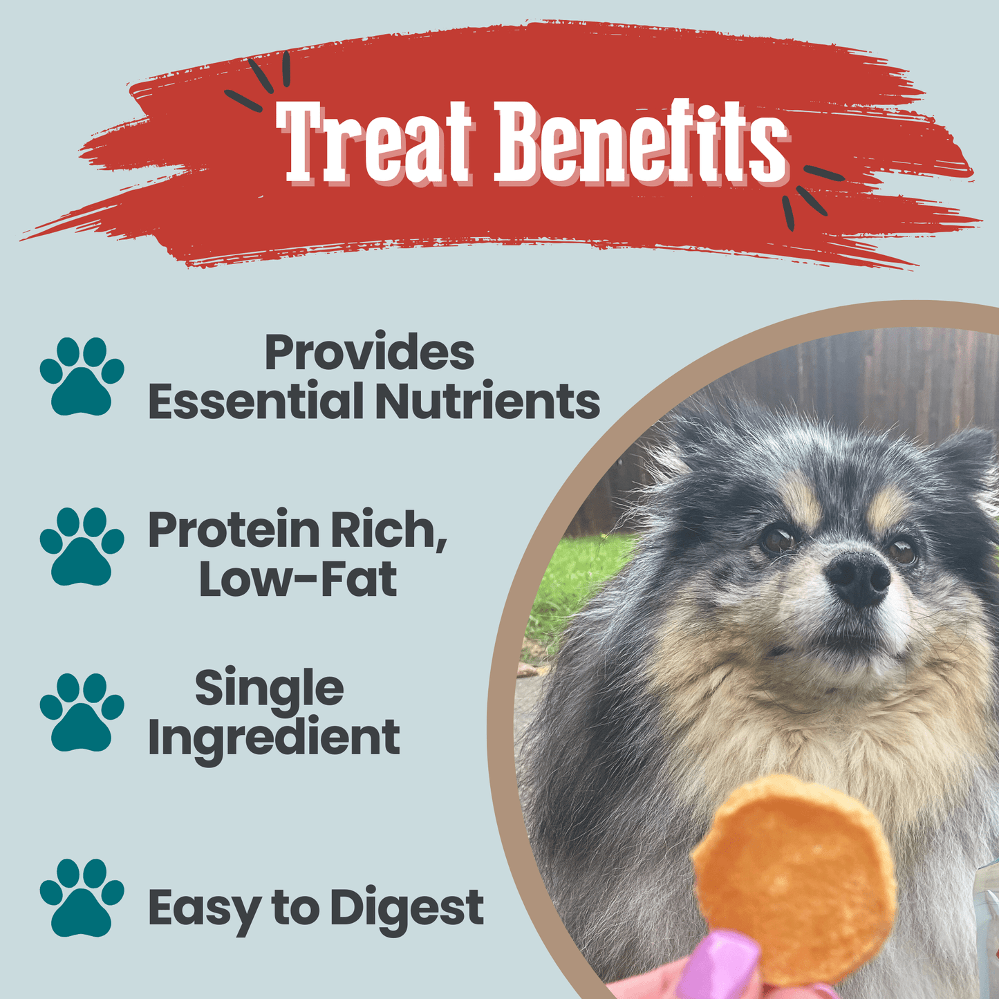Fish Chips Snack Packs – Healthy Dog Snack Pack Snack Pack Fish Chips Treat Benefits 9cfd 46bf a62b 9c3cb3b6e256