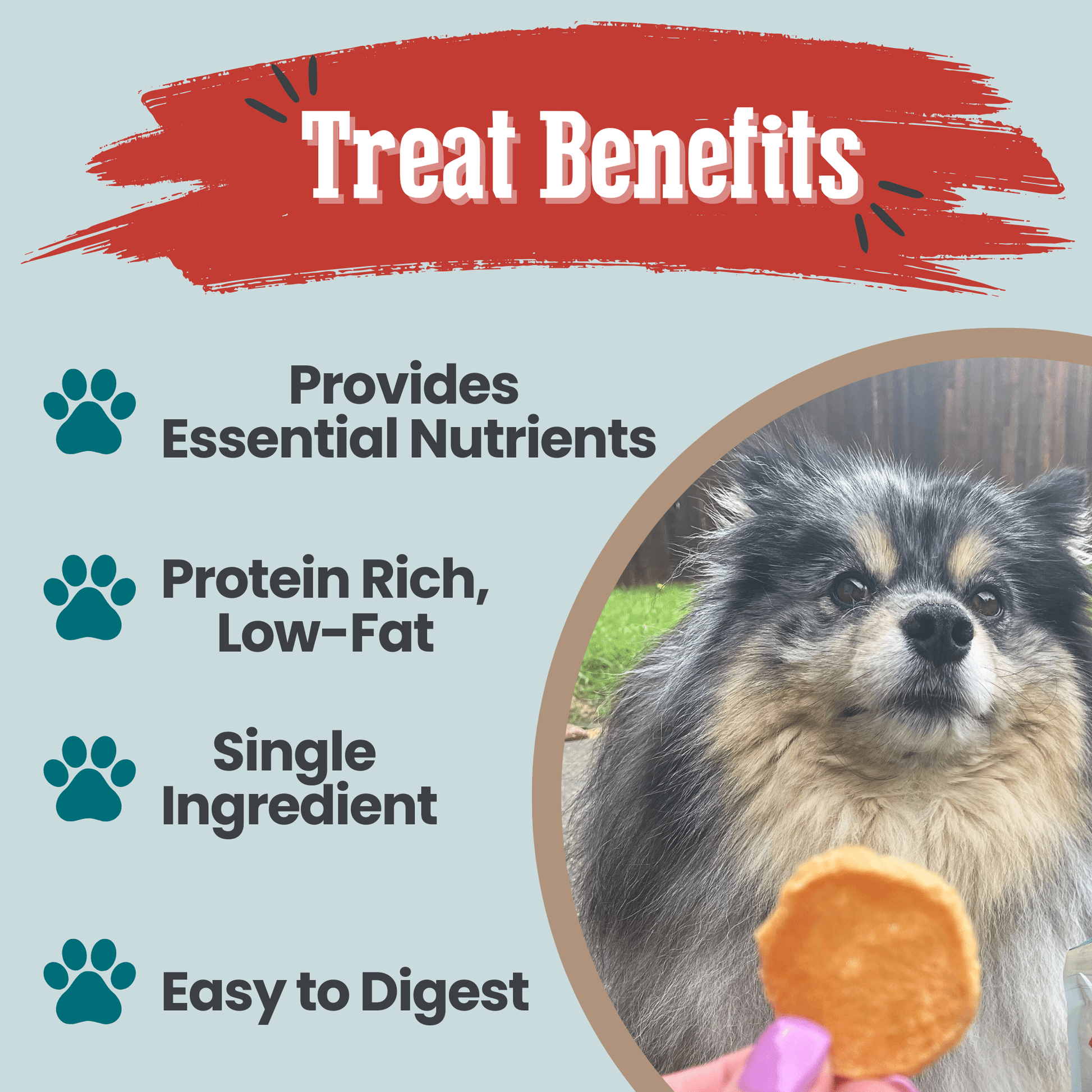 Fish Chips Snack Packs – Healthy Dog Snack Pack Snack Pack Fish Chips Treat Benefits 9cfd 46bf a62b 9c3cb3b6e256